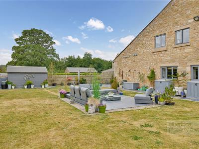 Picture 31